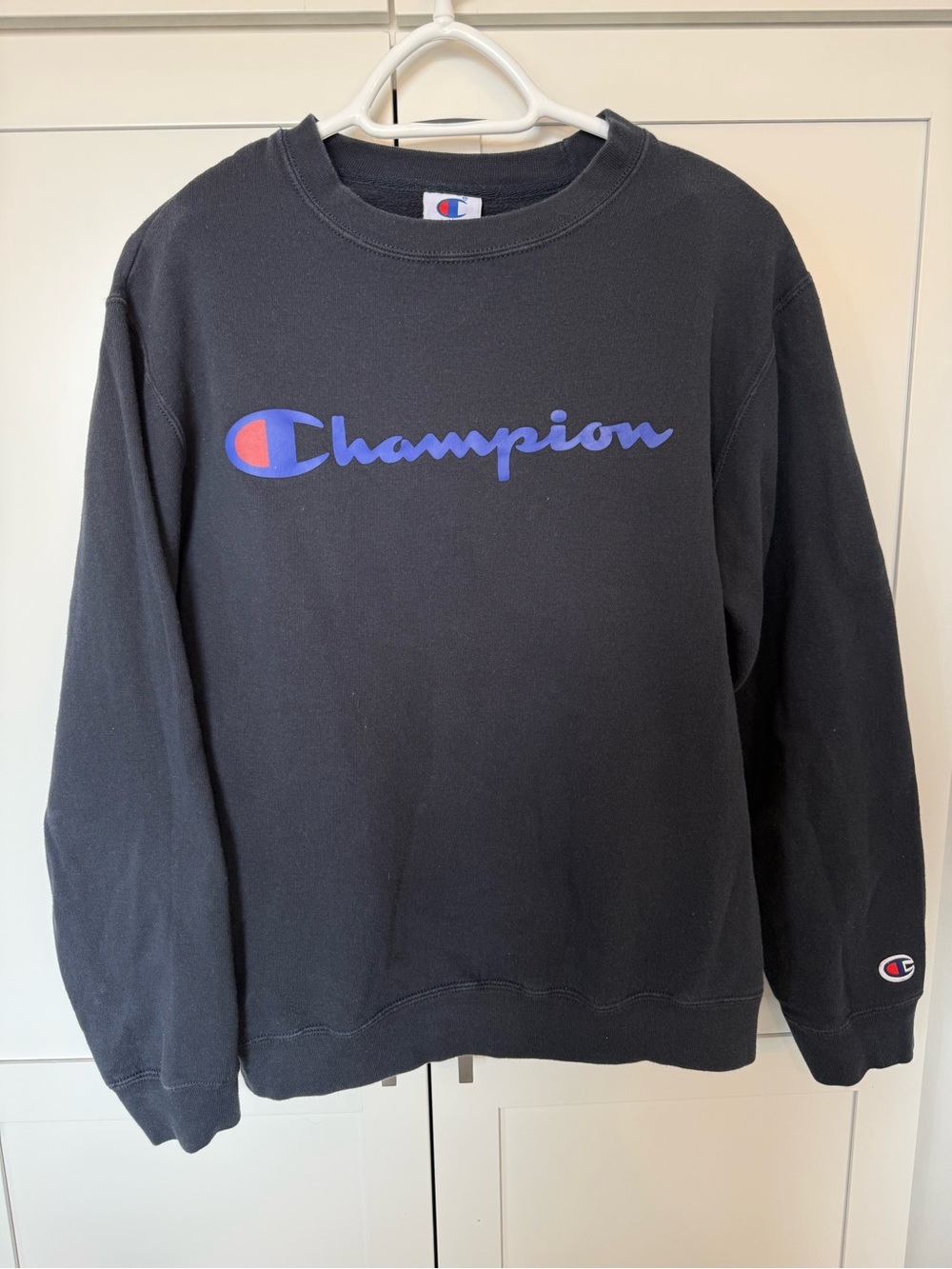 Champion Crew Neck Long Sleeve Sweater - Women’s Large / Vintage Lived in Feel